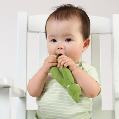 Safe Organic Teething Toys for Baby
