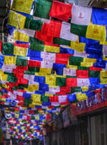 Prayer Flag Display Nepal - Photo courtesy of Sara Calvin