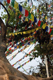 Swayambu Prayer Flags