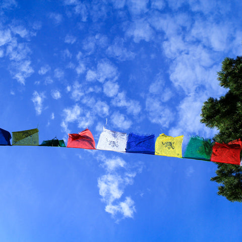 Small Traditional Tibetan Windhorse Block Printed Prayer Flag - 1 set